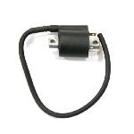 COIL IGNITION CCP SKYWAVE